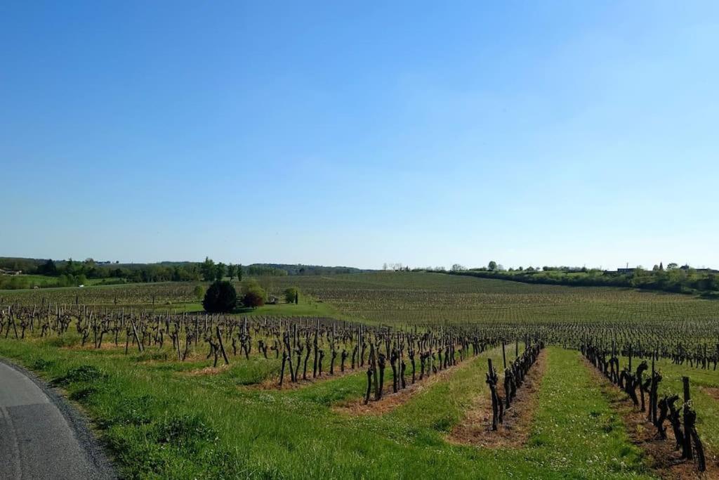 Entre Pierre Et Vigne - Charming Former Winery Farmhouse With Hot Tub & Swimming Pool Monestier  Exterior photo